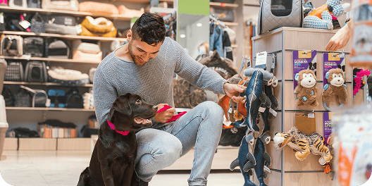 Ambientação de loja de produtos para pet